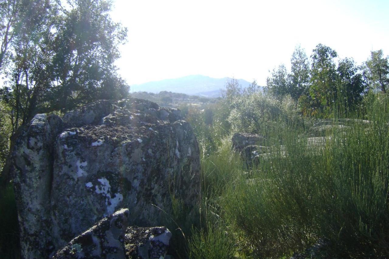 Tapada da Beirã Villa Marvao  Bagian luar foto